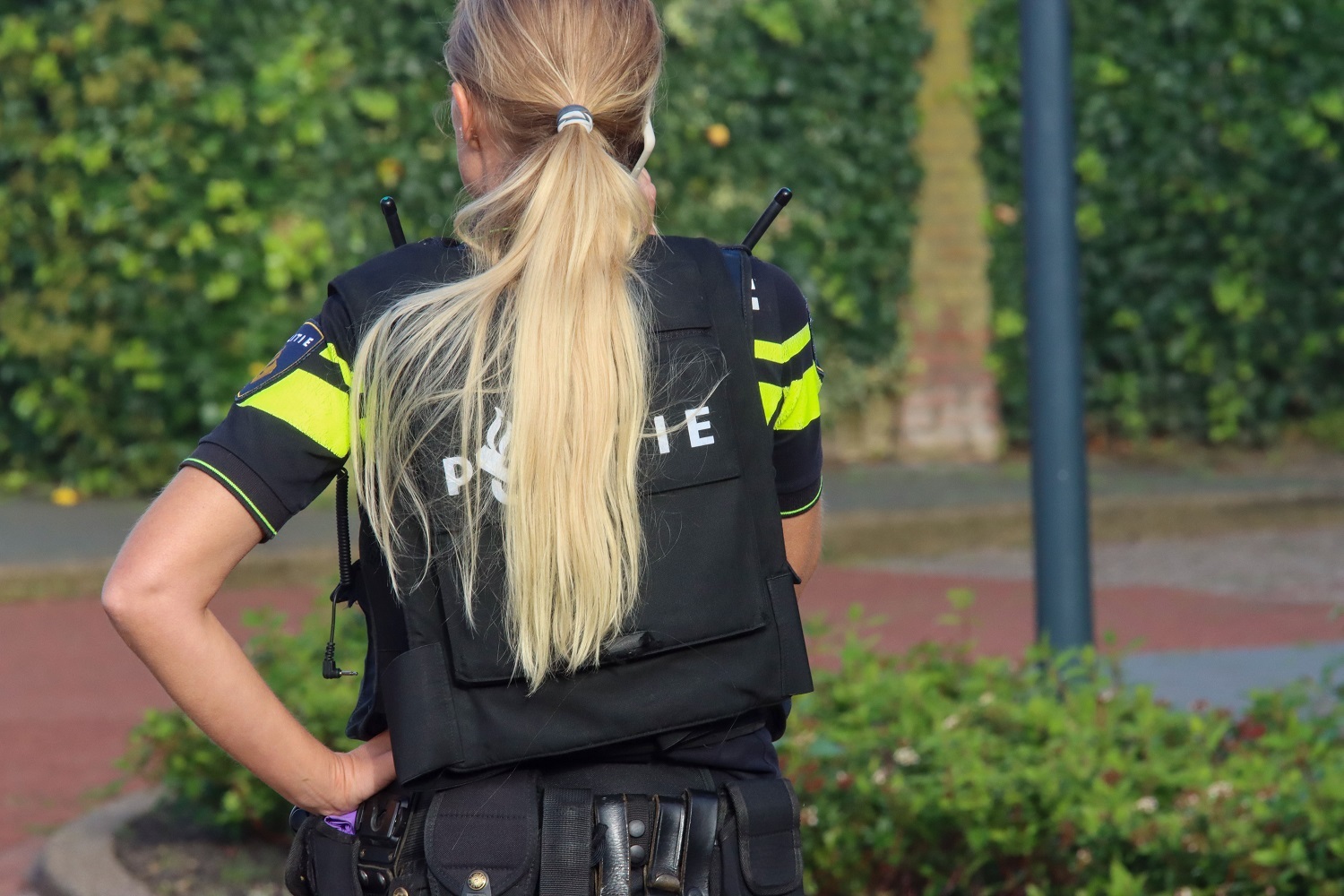 Veiligheidsmonitor
