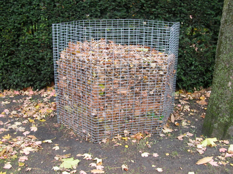 Bladkorven