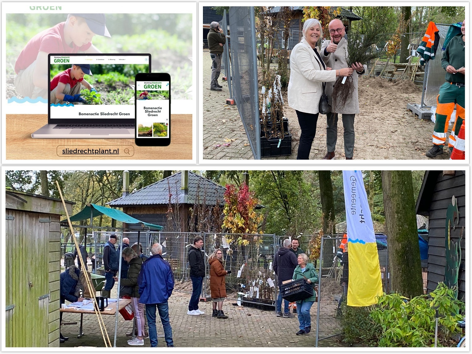 3. collage bomen en plantenactie