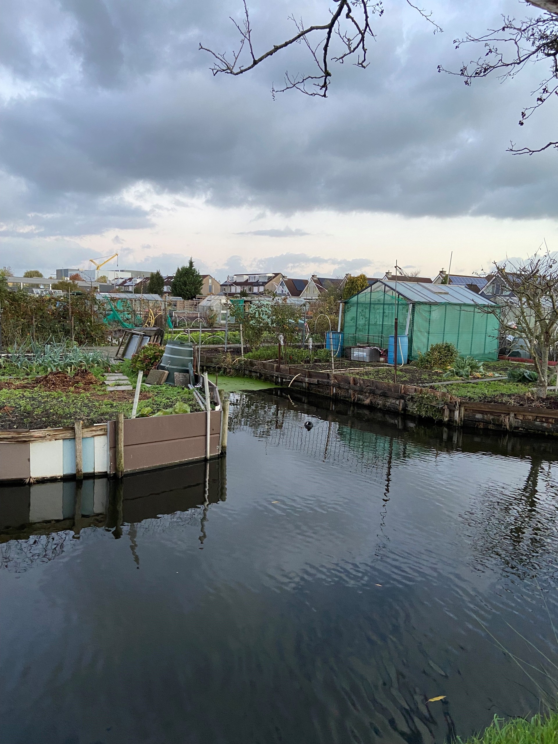 Moestuin met sloot 1